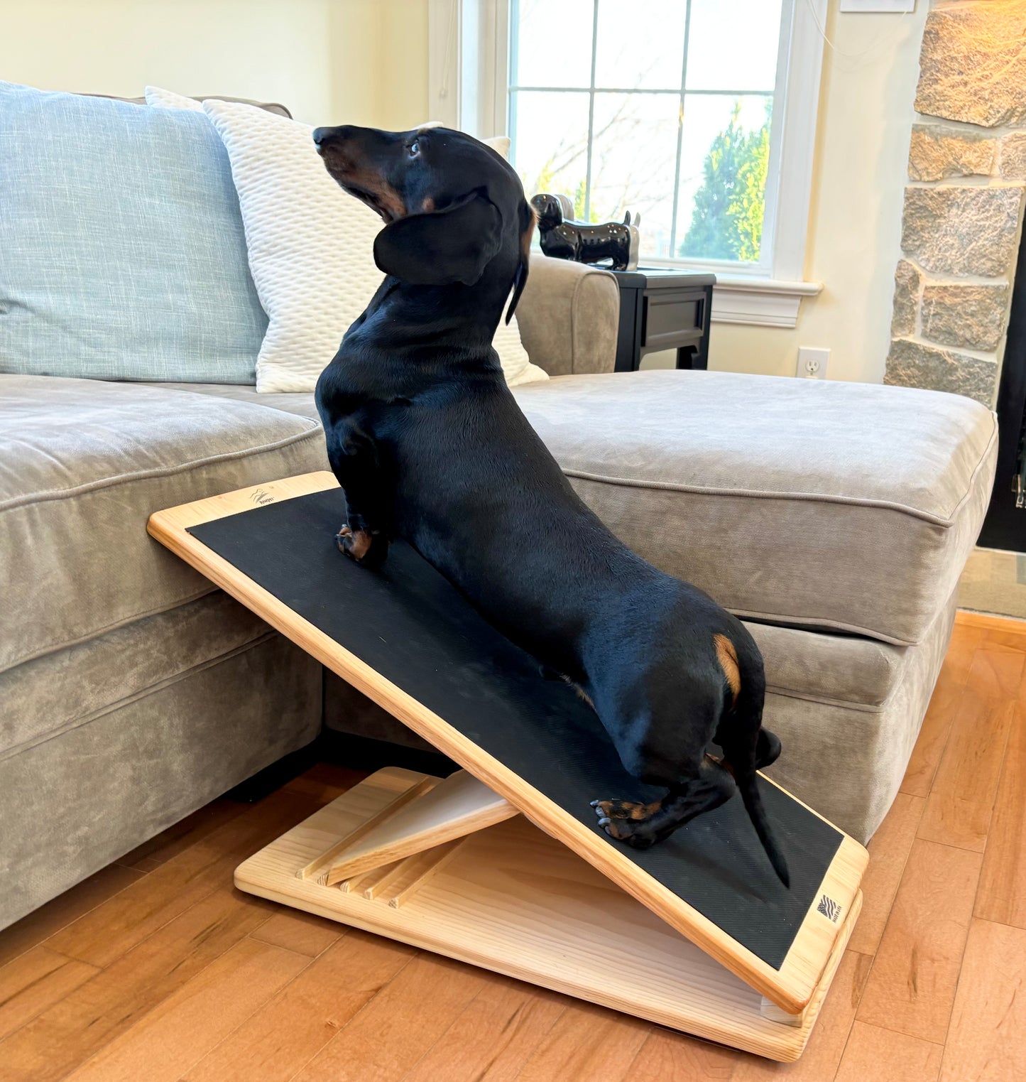 Grip & Go Ramp (Black Rubber Runner)