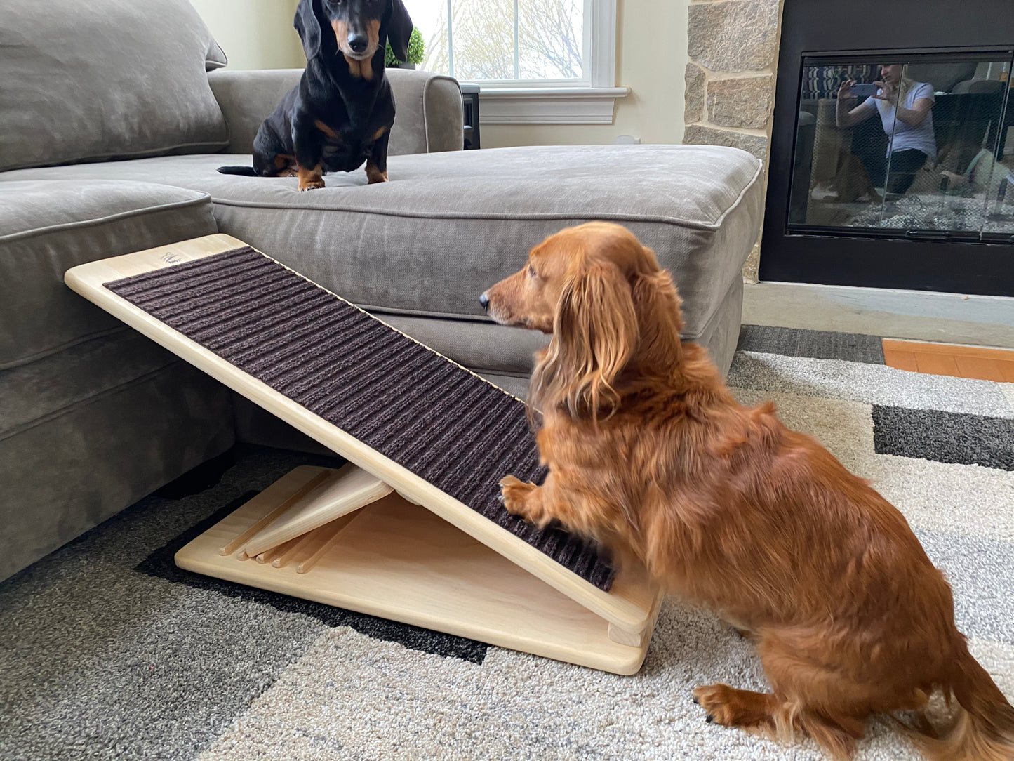 RamPet - Pet Ramp (Brown Carpet Runner)