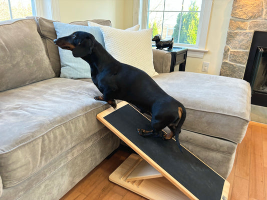 Grip & Go Ramp (Black Rubber Runner)