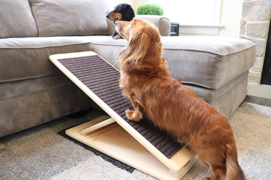 RamPet - Pet Ramp (Brown Carpet Runner)